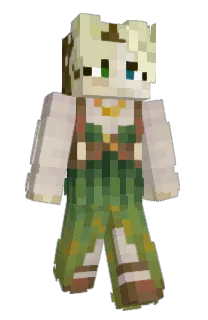 Front of haloveil's skin