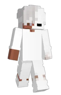 Front of Rixyyz's skin