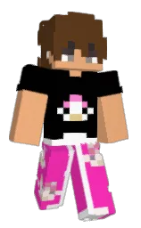 black and espresso Minecraft skin — Classic model — first worn by bENX34