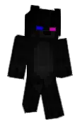 NINJATURTLELEON