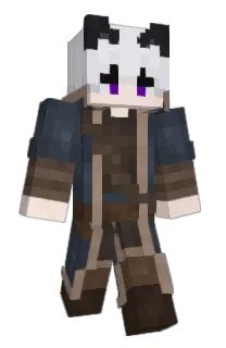 Front of Minecraft skin