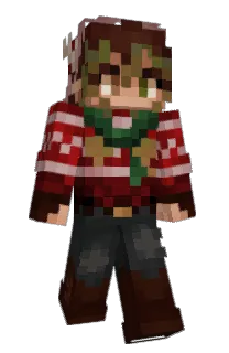 Front of artshroom's skin