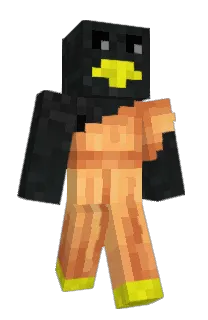 Front of OzimekPL's skin