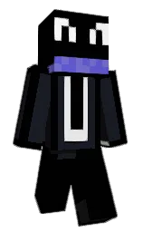 black and woodsmoke Minecraft skin — Classic model