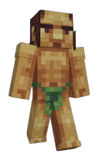 Front of Minecraft skin
