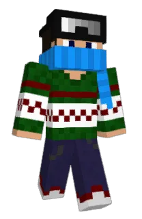 Front of Ultraseb's skin