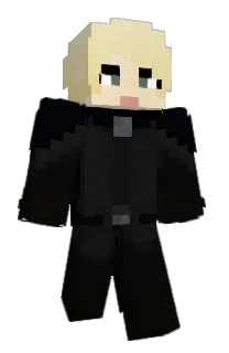 Front of Overland's skin