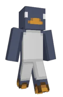 Front of Succman's skin