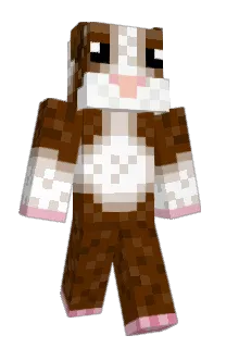 Front of reachmode's skin