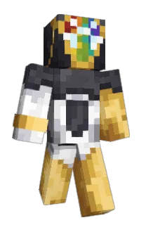 Front of vibrantsystem's skin