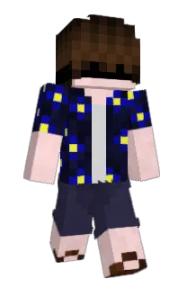 Front of IntellGaming's skin