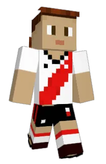 Front of Minecraft skin