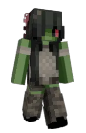 Skin preview