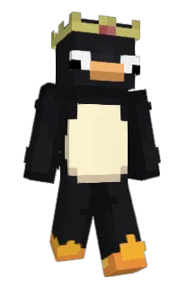 Blecus's Minecraft skin