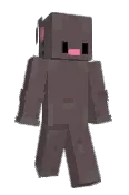 Rattusss