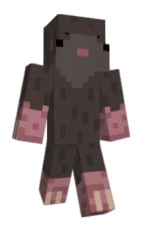 Front of NovaStar_01's skin