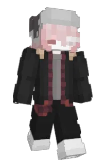 Front of ajaxology's skin