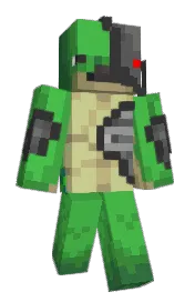 Skin preview
