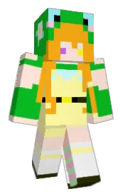 Skin preview