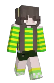 Skin preview