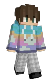 Front of Minecraft skin