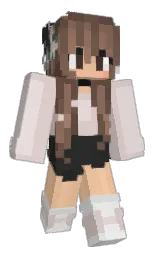 Minecraft skin — Classic model