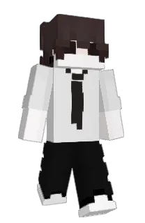 verclin's Minecraft skin
