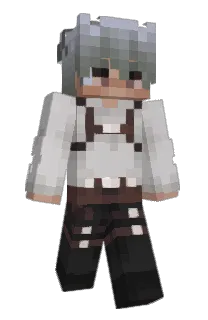 Front of 2tellar's skin