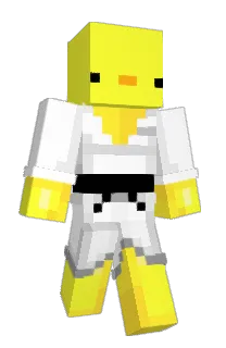 YoloGaming523's Minecraft skin
