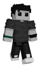cod gray and bombay Minecraft skin — Classic model