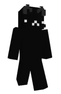 Front of imatrix's skin