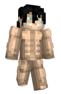Front of micrayne's skin