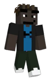 Skin preview