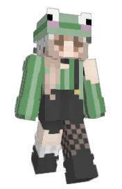 Skin preview