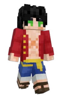 Front of Minecraft skin