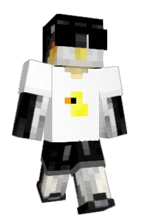 Front of Tadziek's skin