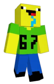 Skin preview