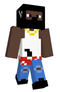 Front of JerryFin's skin
