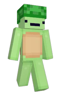 Front of Twertle's skin