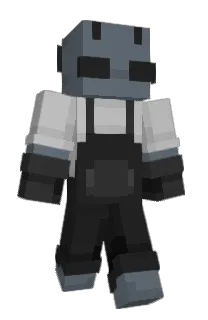 Front of henkatt's skin