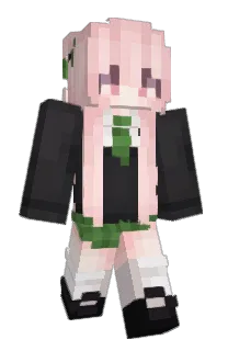 rouy's Minecraft skin