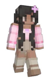 Skin preview