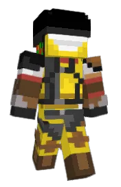 Skin preview