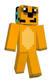 Front of liijl's skin