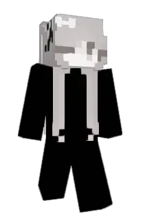 Front of efuj's skin