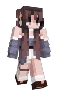 Front of Minecraft skin