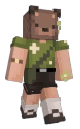 Minecraft skin — Classic model