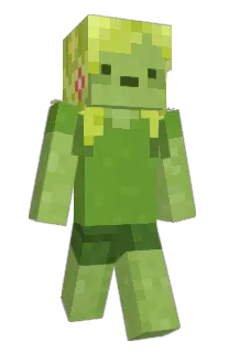 Front of grassfern's skin