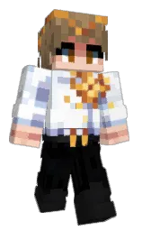 Minecraft skin — Classic model