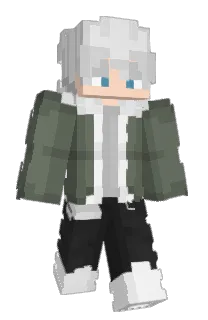 Front of vlpw's skin